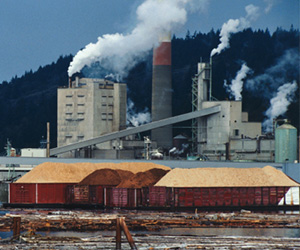 1578967392464743.jpg 2.jpg